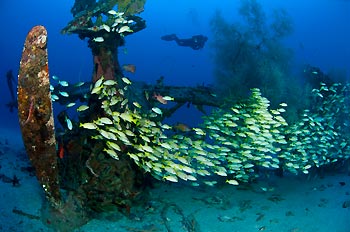 WINNER - WRECKS - Dorian Borcherds - 6-night holiday for TWO with ABWonderdive