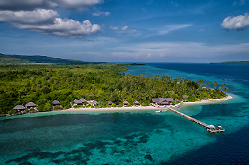 For the past couple years we have continued to witness increasing numbers of adult turtles on the surrounding reefs, and particularly on the House Reef at Wakatobi. Photo by Didi Lotze