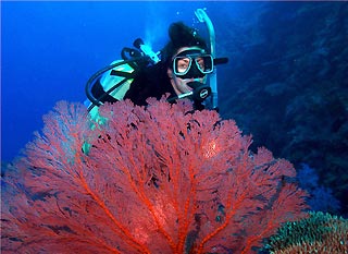 Diver with light