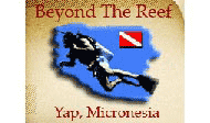 Beyond The Reef logo