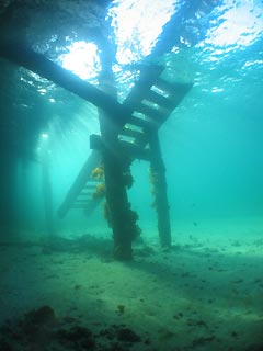 Edithburgh Jetty