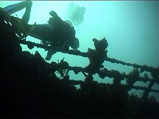 Coogee Wreck II