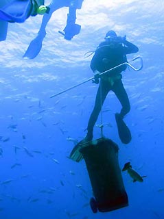 Diver with Shark tucker