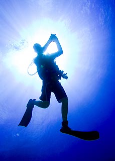 Diver Silhouette