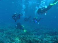 Abrolhos Islands with Padburry High