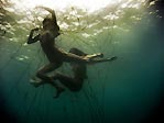 Shark Netting, Turning the Tide