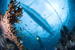 Wide-Angle Seascape