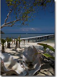 The beach at Selayar, Sulawesi, Indonesia