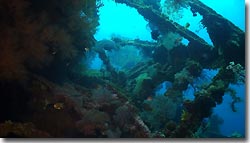 Remains of the USS Liberty are overgrown, Zen resort, Bali,Indonesia