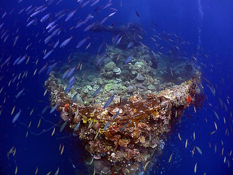 Fujikawa Maru