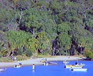 Beach at Town of 1770 - Photo and text courtesy of Tourism QLD