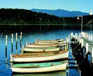 Narooma Boats - Photo courtesey of Tourism NSW