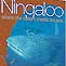 Ningaloo DVD